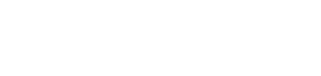 St. Gallen Business Review Logo